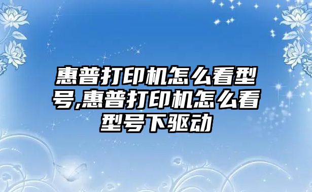 惠普打印機怎么看型號,惠普打印機怎么看型號下驅(qū)動