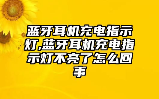 藍(lán)牙耳機(jī)充電指示燈,藍(lán)牙耳機(jī)充電指示燈不亮了怎么回事