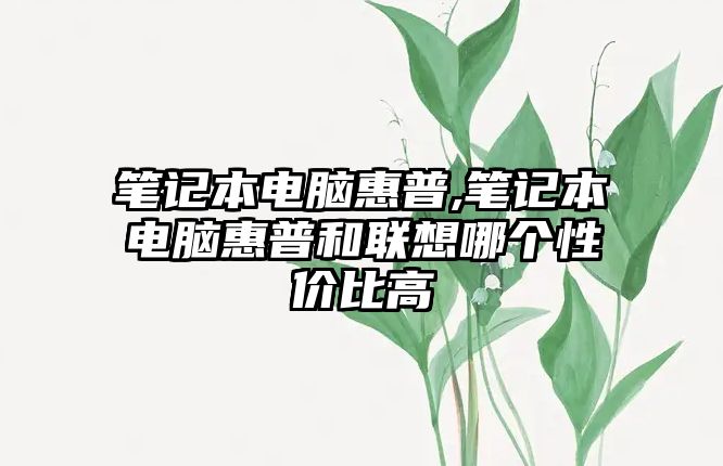 筆記本電腦惠普,筆記本電腦惠普和聯(lián)想哪個(gè)性?xún)r(jià)比高