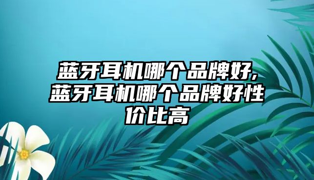 藍牙耳機哪個品牌好,藍牙耳機哪個品牌好性價比高