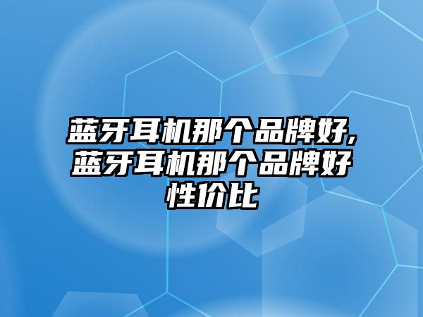 藍(lán)牙耳機那個品牌好,藍(lán)牙耳機那個品牌好性價比