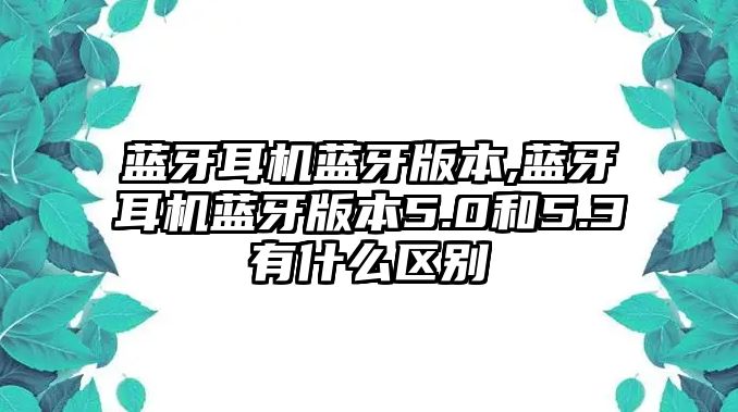 藍牙耳機藍牙版本,藍牙耳機藍牙版本5.0和5.3有什么區(qū)別