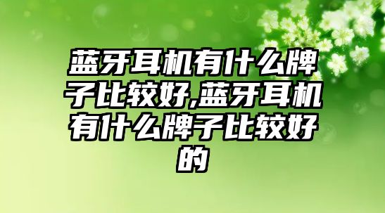 藍牙耳機有什么牌子比較好,藍牙耳機有什么牌子比較好的